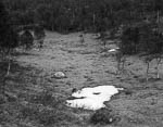 Snow patch, Beiarn, 1984