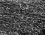 Landscape #4, Eggedal, 1985