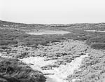 Landscape #106, Flå, 1994