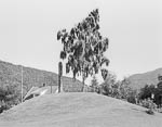 Landscape #115, Balestrand, 1995