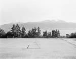 Landscape #120, Balestrand, 1995