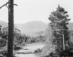 Landscape #121, Balestrand, 1995