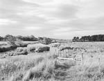 Jæren Landscape #2, 1998