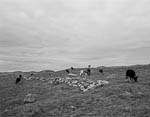 Jæren Landscape #5, 1998