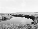 Jæren Landscape #10, 1998