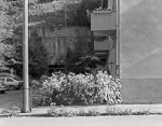Skriugata 13, 1983