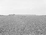Mine landscape #6, 2009